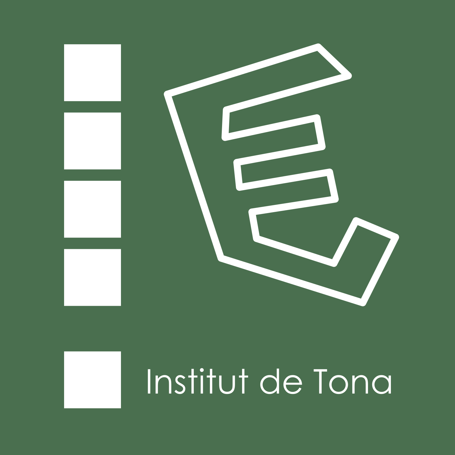 INSTITUT DE TONA - PROJECTES